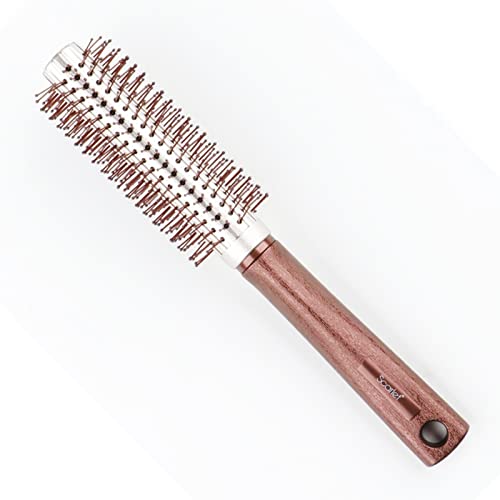 SBX083 Professional 2 Tone Large Round Hair Brush with Handle Ball Tip Soft Nylon Bristles for Volumizing n Styling Copper Round Hair Brushes Scarlet Line 24X5.6X4.5 CM Koki Story